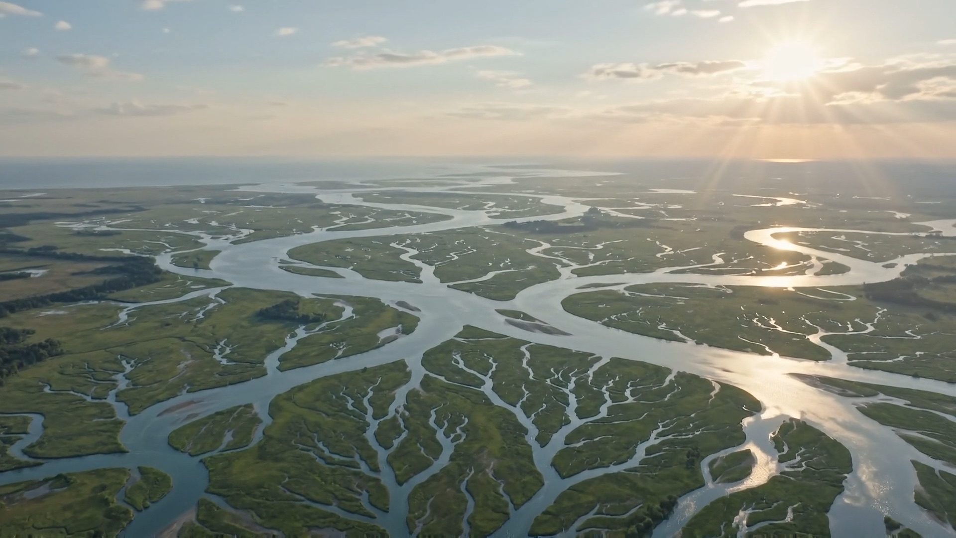 Aerial vista of a branching river delta at sunrise, echoing the form of neuron dendrites